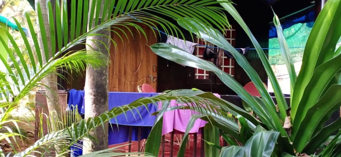 Resort Casa Fiesta 2*